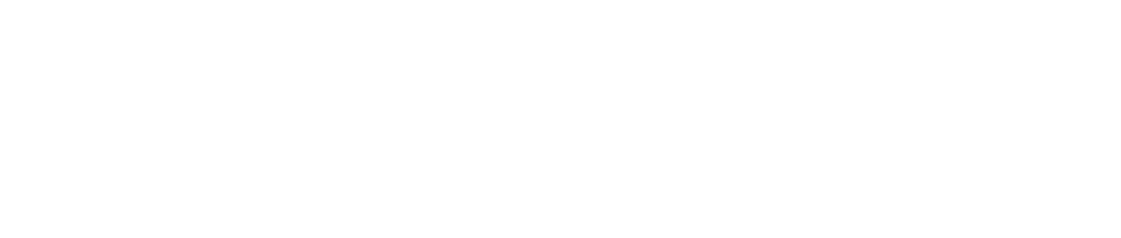 AVL Media